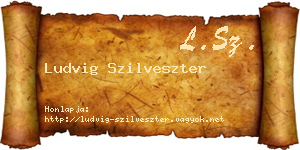 Ludvig Szilveszter névjegykártya